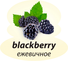 Ежевичное